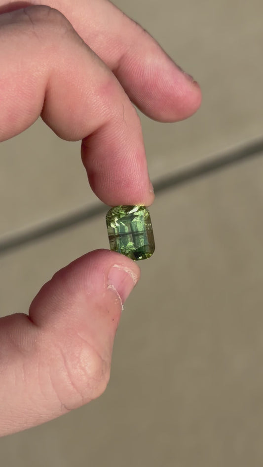 9.41 Ct Peridot with Ludwigite Inclusions